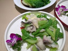 -味妙顺德厨房(绿地缤纷城店)