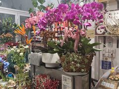 -FEI FEI FLOWER鲜花店·气球派对·宝宝宴布置(虹口德必运动Loft店)