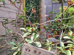 -广州神农草堂中医药博物馆