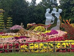 -上海共青森林公园