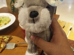 -PAWTOY爪e玩偶店(天兴罗斯福店)