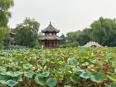 -莲池书院博物馆