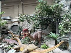 -国家自然博物馆