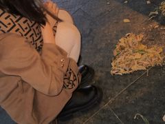 -帽儿山国家森林公园