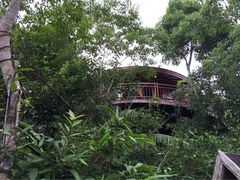 亚龙湾人间天堂-鸟巢度假村-三亚亚龙湾人间天堂鸟巢度假村