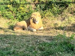 -石家庄市动物园