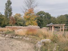 -野鸭湖国家湿地公园