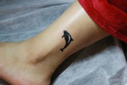 动物-椿树下·Tattoo纹身工作室