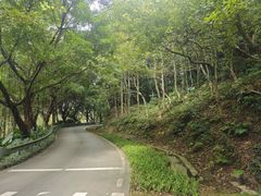 -广州市石门国家森林公园