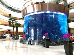 -OPEN開全日自助餐厅·牛肉火锅·海鲜(佛山希尔顿酒店)