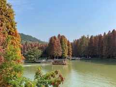 -星湖旅游景区七星岩