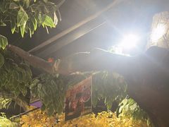 -城墙拐拐火锅(三峡广场黑金冠店)