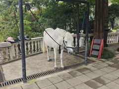 -J Create城市露营咖啡·简餐·宠物(上海动物园店)