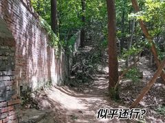 -紫金山山顶公园