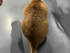 -蓝天射箭馆·专业射箭运动(诚丰广场店)