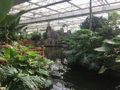 -汤山翠谷生态餐厅