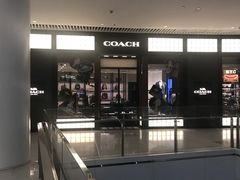 -COACH蔻驰(恒隆广场店)