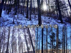 -图们口岸