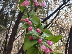 -元大都城垣遗址公园