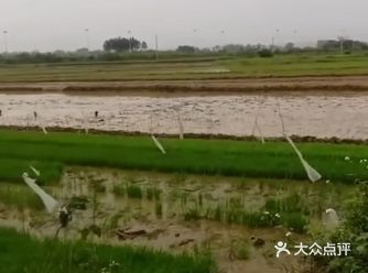 与城里的那些房奴们相比，庄稼人过得甚是自在 
