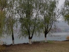 -长广溪湿地公园