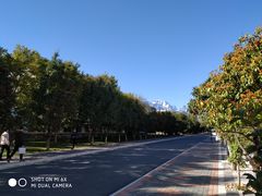 -丽江文化旅游学院