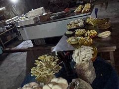 -仙蘑洞