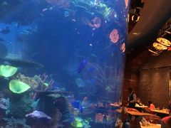 -迪拜帆船酒店海底餐厅