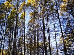 -洮儿河国家湿地公园