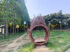 -同里国家湿地公园