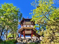 -莲花池公园