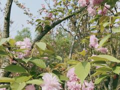 -金海湾滨江公园