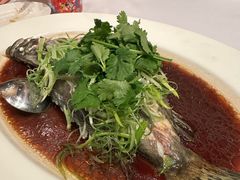 -晶荷轩(香港迪士尼乐园酒店)