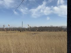 -野鸭湖国家湿地公园