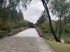 -上海滨江森林公园