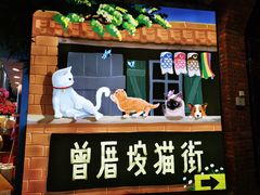 门面-有猫主题·治愈系猫咖(曾厝垵店)