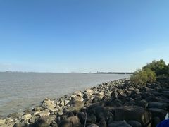 -上海吴淞炮台湾国家湿地公园