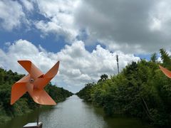 -黄海国家森林公园