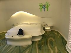 -深圳东部华侨城瀑布酒店