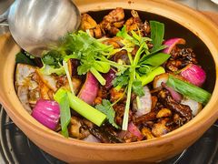 招牌胡须佬鸡煲-胡须佬鸡煲四季火锅店(石厦西村直营店)