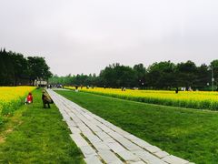 -北坞公园