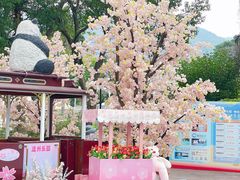 -温州乐园