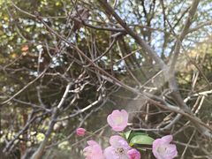 -狼山风景名胜区