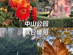 -中山公园