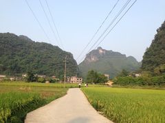 -老根农家饭店