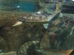 -福州罗源湾海洋世界旅游区