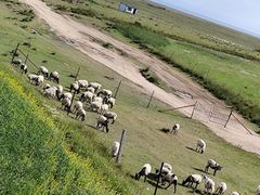 -青海湖国家重点风景名胜区