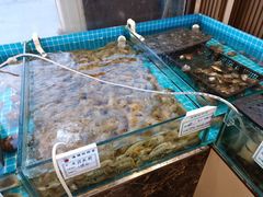 -渡海小渔村.老辈日照菜