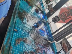 -渡海小渔村.老辈日照菜