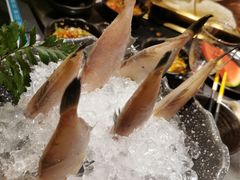 -王家渡火锅(金宝汇店)